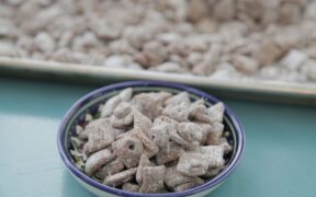 gluten free and dairy free puppy chow