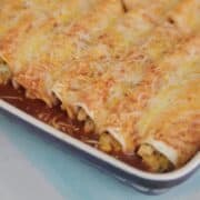 gluten free chicken enchiladas