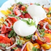 Buratta Salad plated