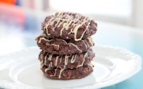 gluten free chocolate peanut butter no bake cookies