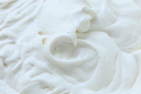 Close up of the vanilla bean specks