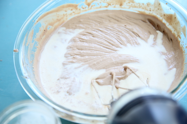 mocha caramel chip ice cream