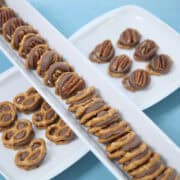 Pretzel Turtles