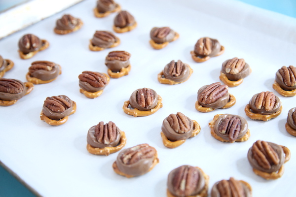 Pretzel Turtles