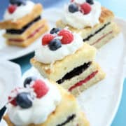 Coconut Berry Mini Cakes Feature Photo