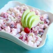 Cranberry Ambrosia Feature Photo